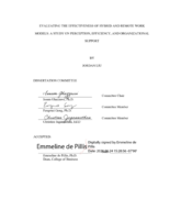 Evaluating the Effectiveness of Hybrid and Remote Work Models: A Study on Perception, Efficiency, and Organizational Support